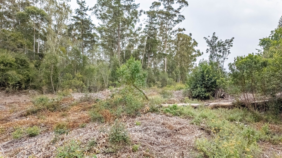 Commercial Property for Sale in Sedgefield Rural Western Cape